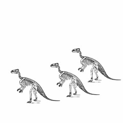 Vector illustration of a tyrannosaurus rex dinosaur silhouette with a cute, cartoonish style