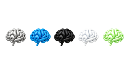 Brain model collection with different colors on transparent background
