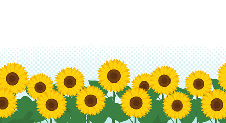 A field of vibrant yellow sunflowers blooming under a clear blue sky