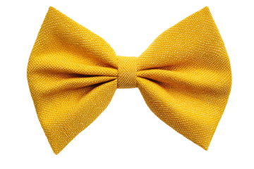Golden yellow fabric bow tied neatly, isolated on white 