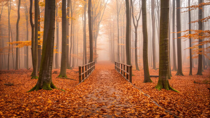 Fototapeta premium Enchanting Autumn Forest Path With Wooden Bridge Covered In Fallen Leaves walkway