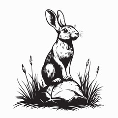 Wild Rabbit Standing on Rock in Open Nature Vector Illustration