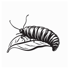 Vector Illustration of Silkworm Crawling on Green Mulberry Leaf