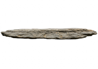 A long, flat, gray sedimentary rock with visible layers and texture, isolated on a transparent background