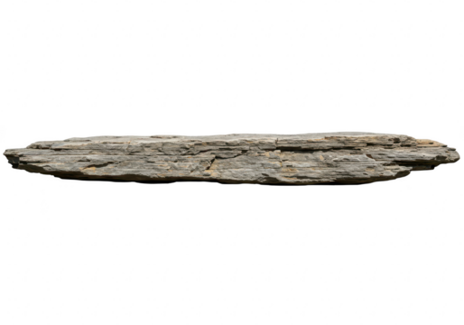 A long, flat, gray sedimentary rock with visible layers and texture, isolated on a transparent background
