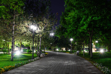 A paved pathway in a park at night with illuminated trees and lampposts, creating a serene urban landscape.