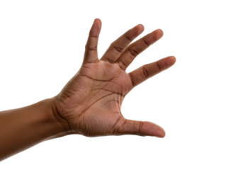 Closeup of a human hand with fingers spread open, isolated on a transparent background
