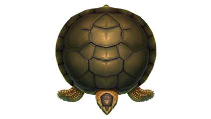 A top down view of a turtle with a patterned shell and small head on a black background illustration