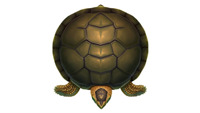 A top down view of a turtle with a patterned shell and small head on a black background illustration