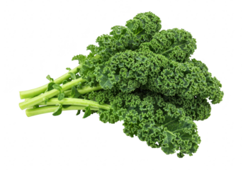 Fresh bunch of curly kale greens, healthy organic vegetable isolated on transparent background