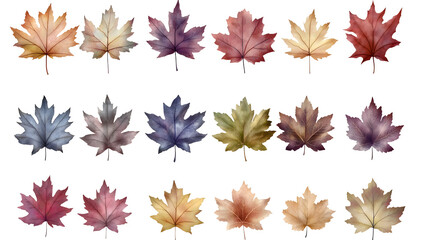 Maple leaves, leaf group pictures, autumn leaves, transparent pictures, png pictures