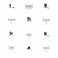 animal logo and icon images