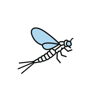 Mayfly clip art preview