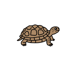 Cute cartoon-style turtle illustration. 