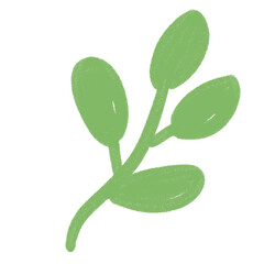 green leaves isolated on white background