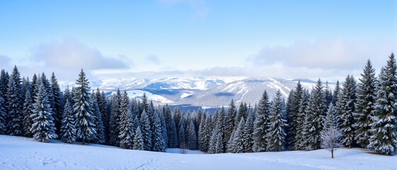 Obraz premium winter landscape in the mountains