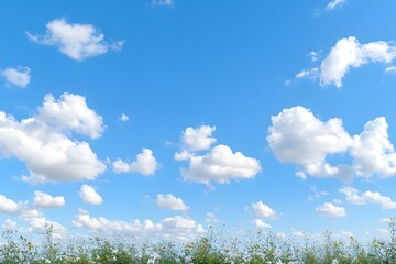 Fototapeta premium Partly cloudy sky with white clouds and copy space.