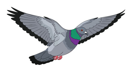 Fototapeta premium Soaring Dove Vector Illustration with Graceful Wings on a White Background for Graphic Design Projects