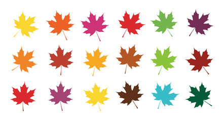 Vibrant autumn maple leaf collection symbolizing fall season beauty and color diversity