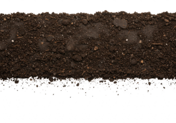 A closeup view of a soil texture crosssection isolated on transparent background