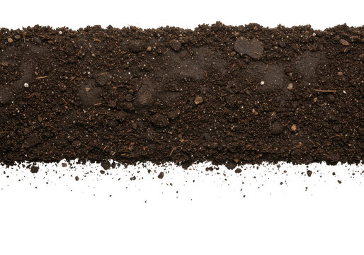A closeup view of a soil texture crosssection isolated on transparent background - Powered by Adobe