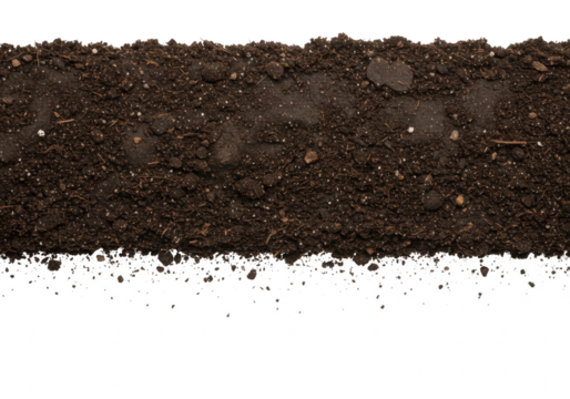 A closeup view of a soil texture crosssection isolated on transparent background