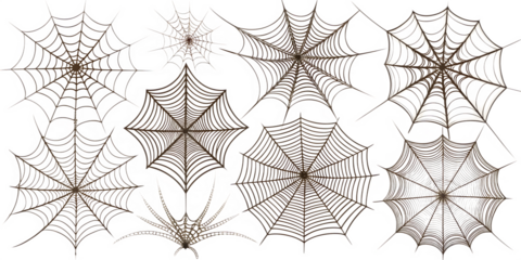 set of spider web isolated on white background, png, ai generated.