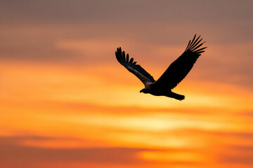 Fototapeta premium Black silhouette of bird flying in wide orange sunset sky, small but meaningful central subject, concept of freedom and vastness with few elements