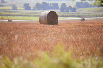 Round bales of hay on a field a misty autumn day with a landscape in the background