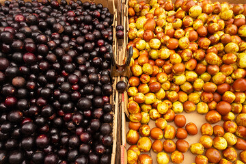 Cherries and grapes at the market for sale 