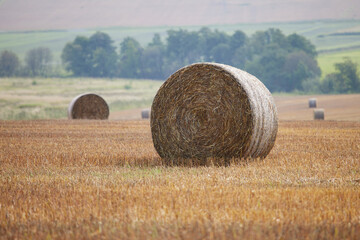 Round bales of hay on a field a misty autumn day with a landscape in the background