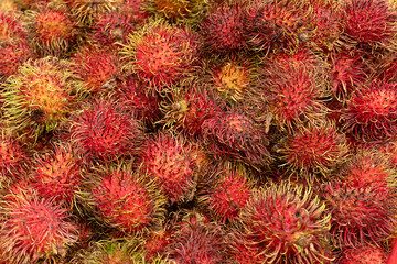 Rambutan fruit at market for sale 