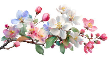 Spring flowering bush with mixed watercolor blossoms in pastel colors on transparent background