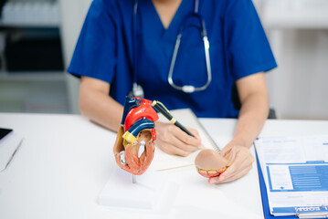 Medical professional explains heart anatomy using 3D model for healthcare education, training, and...