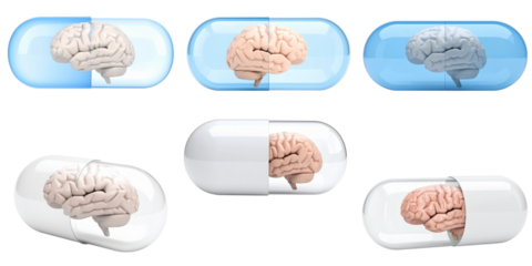 Set of human brain in a clear capsule isolated on white background.