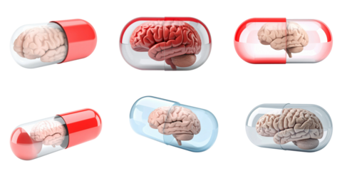 Set of human brain in a clear capsule isolated on white background.