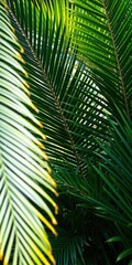 Obraz premium A close up view of vibrant green palm fronds with detailed leaf patterns filling the frame entirely
