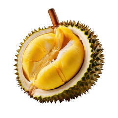 Obraz premium Durian fruit half opened, isolated white and transparent background.