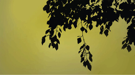 Naklejka premium Silhouette of branches of tree isolated on color background.
