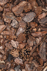 A detailed, close-up, and top-down view of a textured natural background of pine bark mulch with a few pine cones scattered within it.
