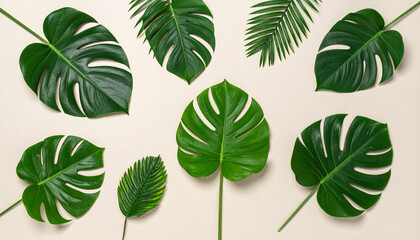 Fototapeta premium Overhead shot of various green tropical leaves arranged on a neutral beige background.