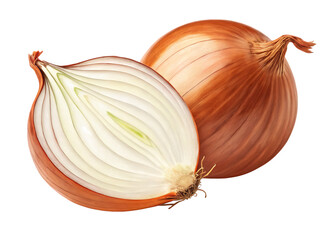 Four fresh red onions one whole and three halved isolated on white background.
