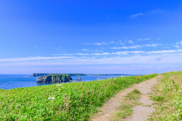 Obraz premium Scenic summer landscape from Cape Azechi in Hamanaka Town, Hokkaido, Japan. The viewpoint offers a wide view of Hamanaka Town, Kenbotsukito Island, small islets, and the Pacific Ocean under a clear bl