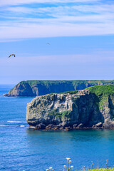 Naklejka premium Scenic summer landscape from Cape Azechi in Hamanaka Town, Hokkaido, Japan. The viewpoint offers a wide view of Hamanaka Town, Kenbotsukito Island, small islets, and the Pacific Ocean under a clear bl