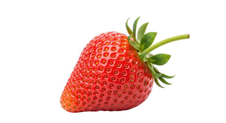 Isolated Single Fresh Strawberry