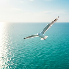 Fototapeta premium White Seagull in Flight Over Turquoise Ocean