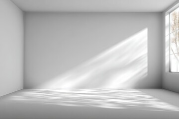 Empty white room with sunlight casting shadows