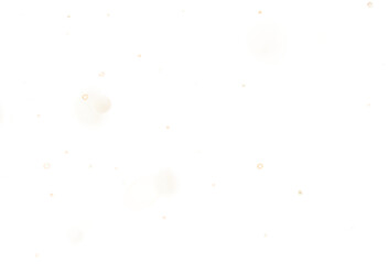 Realistic snowflakes fall isolated on transparent background