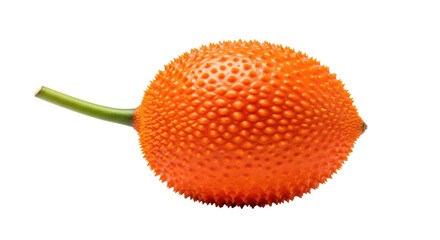 Isolated Gac Fruit