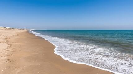 A beach with a calm ocean and clear blue sky.
